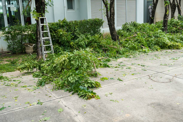 Rusk, TX Tree Removal Company